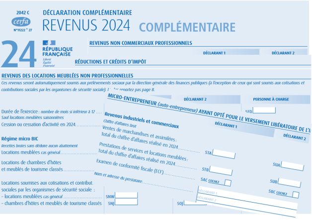 CERFA-2042-2024-Contact